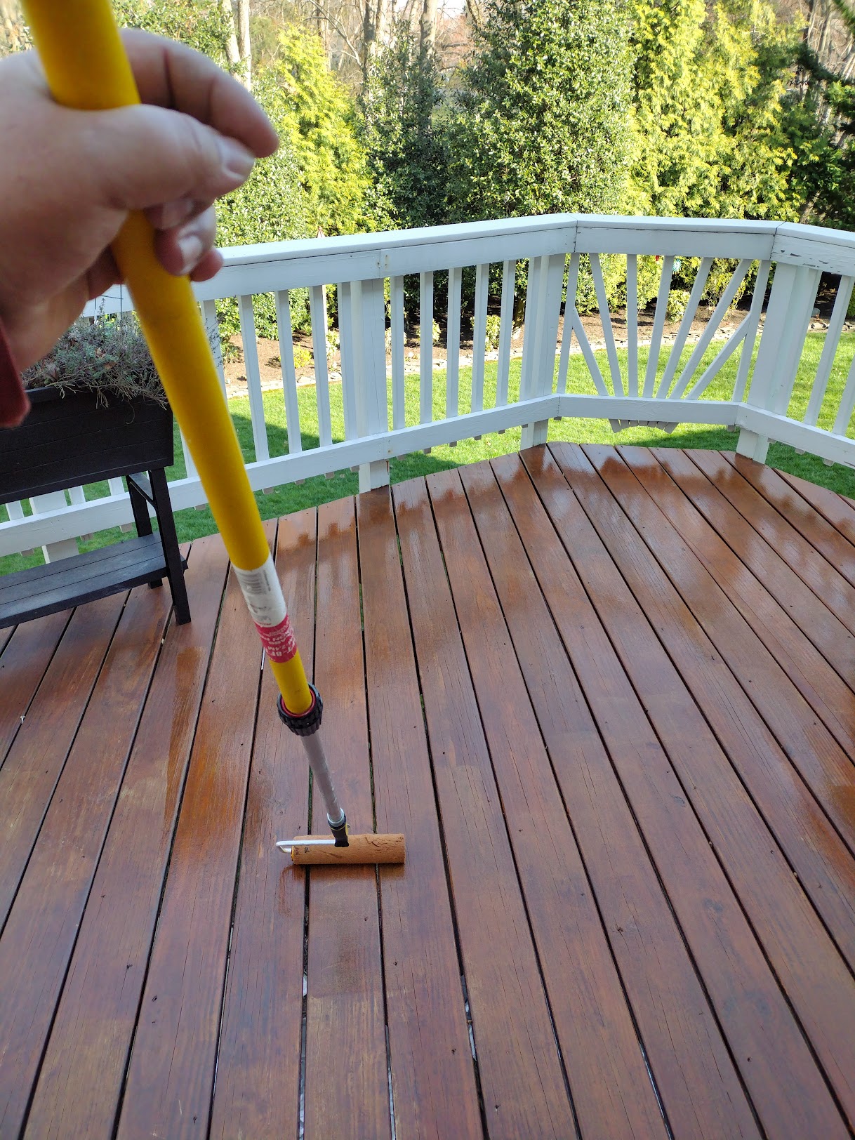 Hand staining a wood deck with a long-handle roller on a sunny afternoon