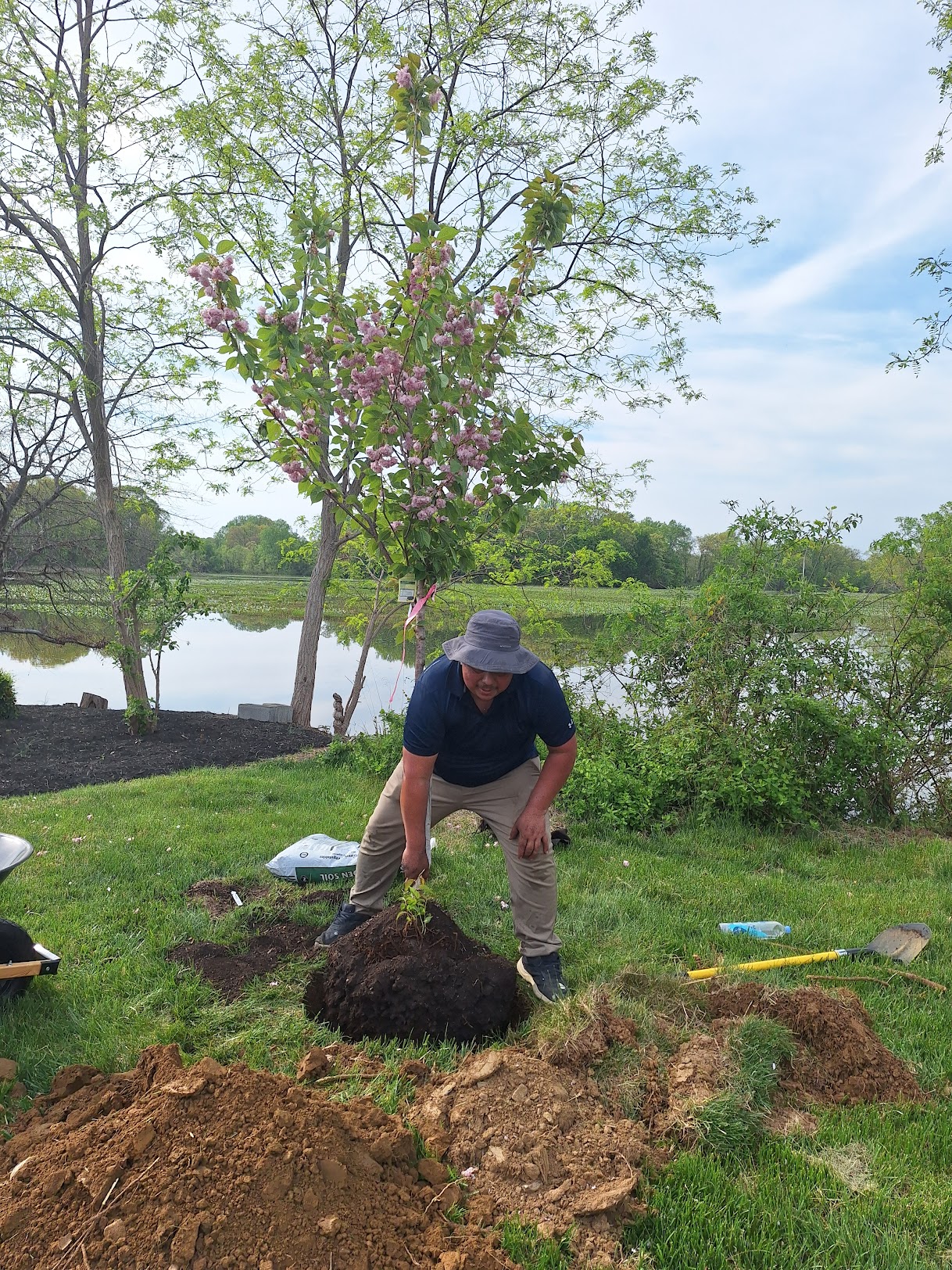 Crew member planting a flowering cherry tree by a lakeside property